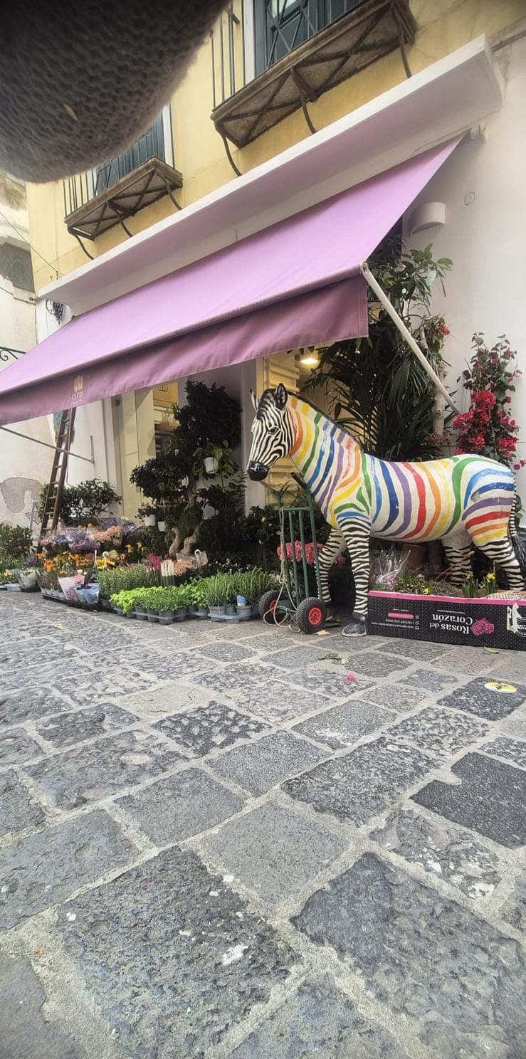 Tenda da sole rosa sopra l'ingresso del fioraio, con i fiori esposti e la zebra decorativa